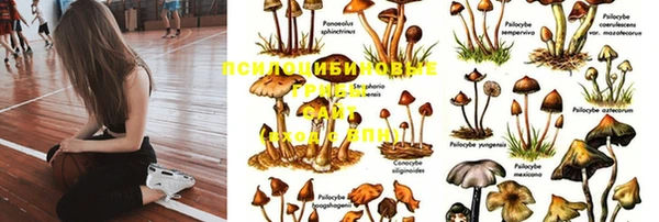 кокс Кинешма