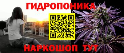 прущие крисы Будённовск