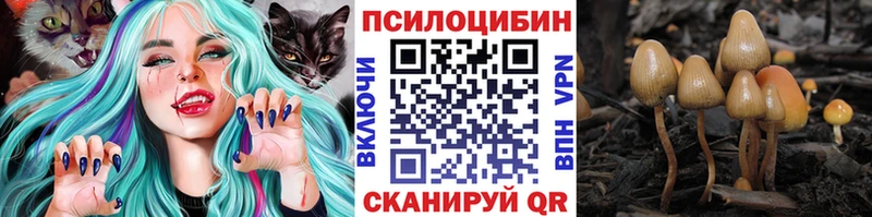 Галлюциногенные грибы Psilocybe  купить наркоту  omg сайт  Уссурийск 