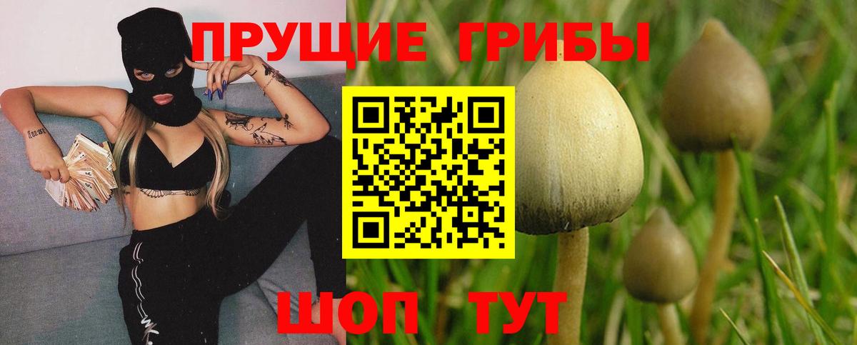Уссурийск  Галлюциногенные грибы Cubensis  Вход с VPN 